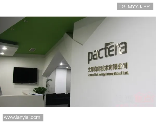 广州排球队防反战术解析与热点动态深度剖析 广州排球队防反战术解析与热点动态深度剖析